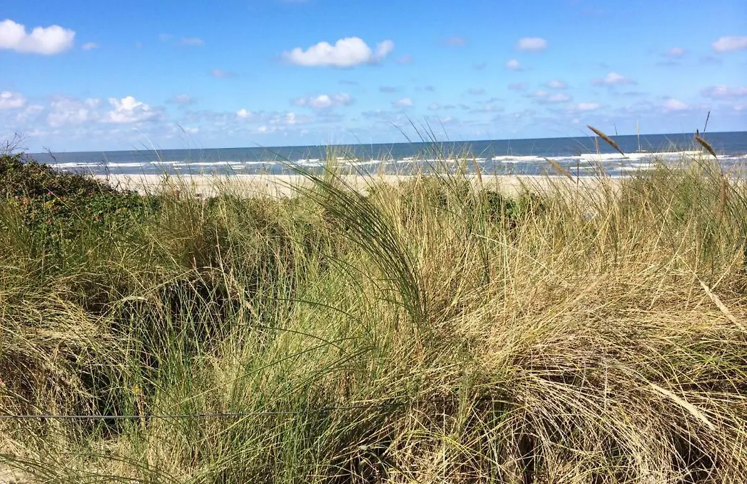 Petine Langeoog-1